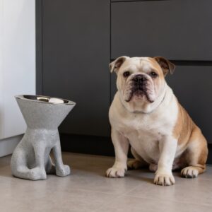 MILO MODERN DOG BOWL